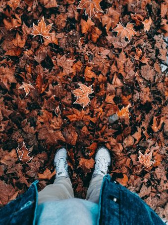 person-standing-on-dried-leaves-3317944(1).jpg